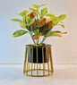 Caged Base Metal Planter – Cylinder Pot with Open Wire Stand