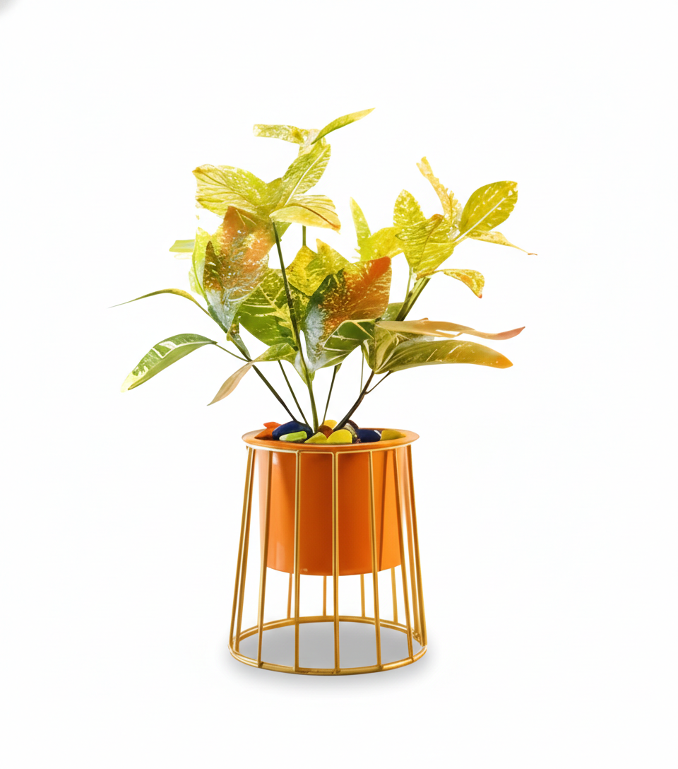 Caged Base Metal Planter – Cylinder Pot with Open Wire Stand