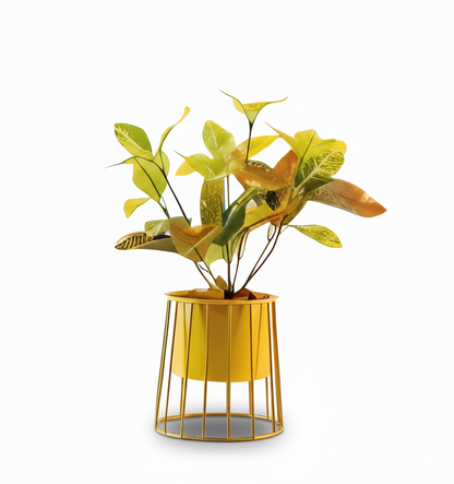 Caged Base Metal Planter – Cylinder Pot with Open Wire Stand