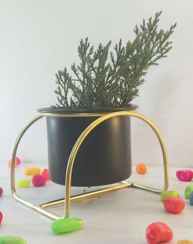 Modern Arch Metal Planter Stand with Pot