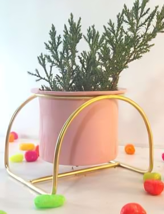 Modern Arch Metal Planter Stand with Pot