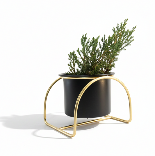 Black planter with green plant on a gold metal stand against a white background