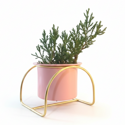 Modern Arch Metal Planter Stand with Pot