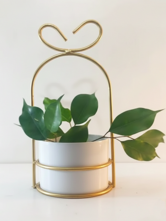 White pot with green plant inside a gold metal stand on a white background