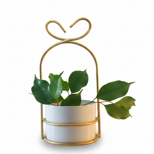 Heart-Loop Metal Planter with Gold Frame