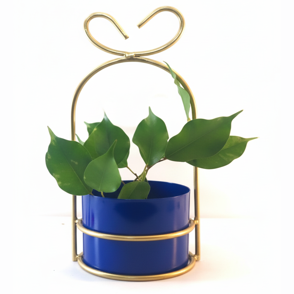 Heart-Loop Metal Planter with Gold Frame