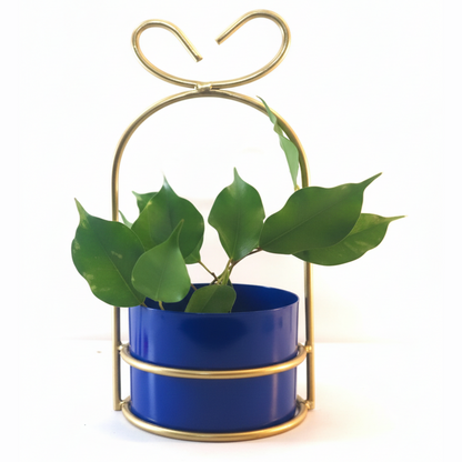 Heart-Loop Metal Planter with Gold Frame