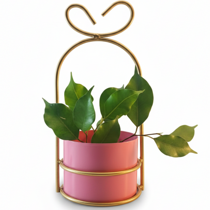 Heart-Loop Metal Planter with Gold Frame