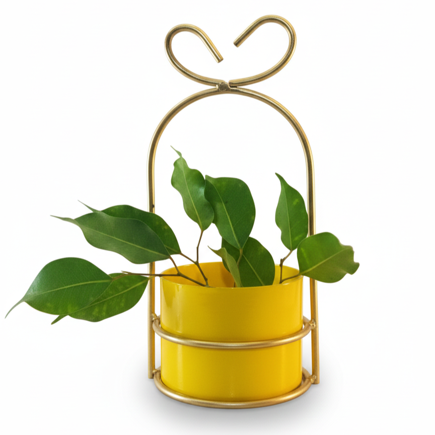 Heart-Loop Metal Planter with Gold Frame