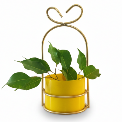 Heart-Loop Metal Planter with Gold Frame