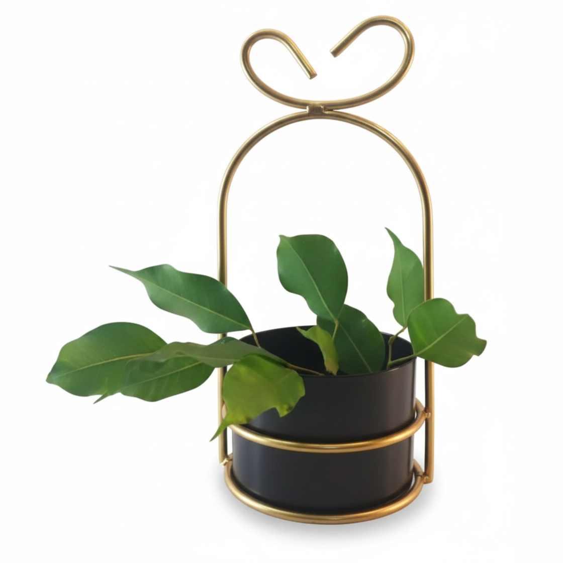 Heart-Loop Metal Planter with Gold Frame