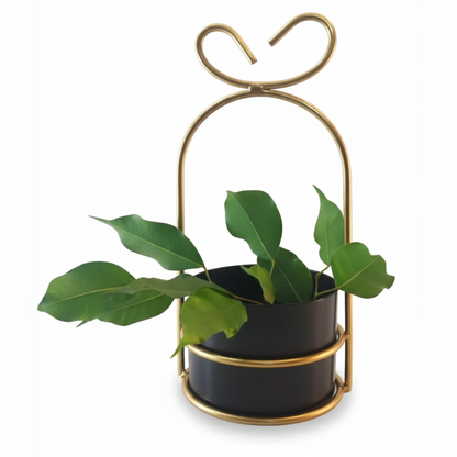 Heart-Loop Metal Planter with Gold Frame
