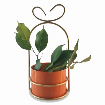 Heart-Loop Metal Planter with Gold Frame