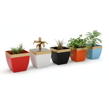 Set of colorful planters with plants on a white background