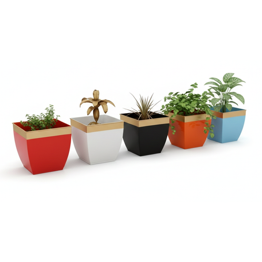 Set of colorful planters with plants on a white background