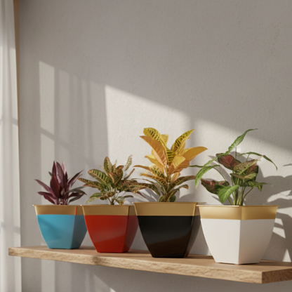 Four potted plants in colorful pots on a wooden shelf with a light background