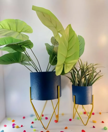 Metal Planter Set with Gold Stand – Set of 2
