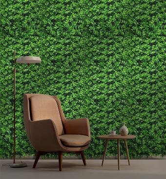 Pachysandra Vertical Garden 50cmx50cm
