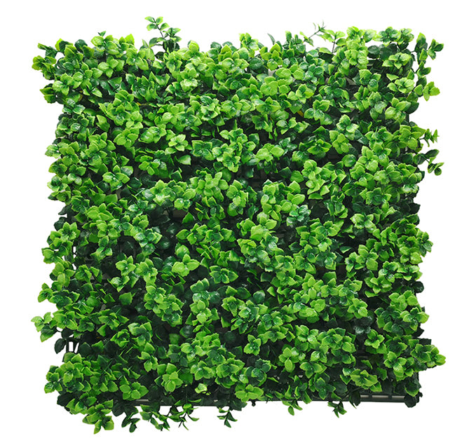 Pachysandra Vertical Garden 50cmx50cm
