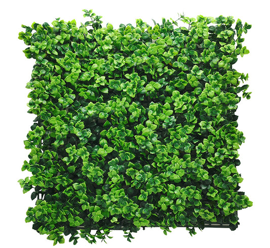 Pachysandra Vertical Garden 50cmx50cm