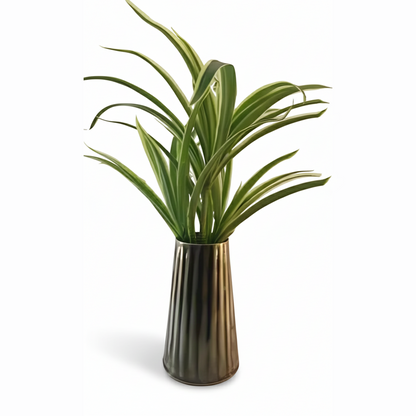 Metal Cone Pot – Vertical Ribbed Finish