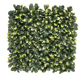 Bayberry Vertical Garden 50cmx50cm
