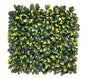 Bayberry Vertical Garden 50cmx50cm