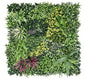 Colourful Jungle Vertical Garden 100cmx100cm