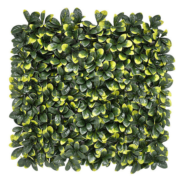 Bayberry Vertical Garden 50cmx50cm