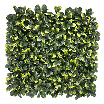 Bayberry Vertical Garden 50cmx50cm