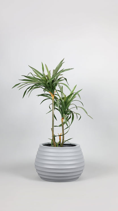 Ring Matt Fiberglass Planter