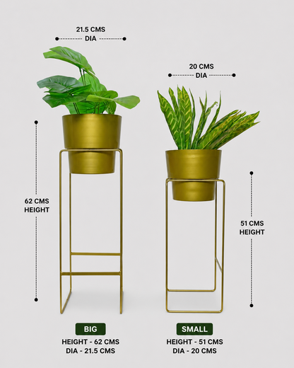Two gold plant stands with plants, showing dimensions on a white background