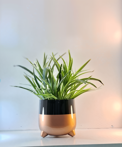 Rounded Metal Planter with Tripod Base