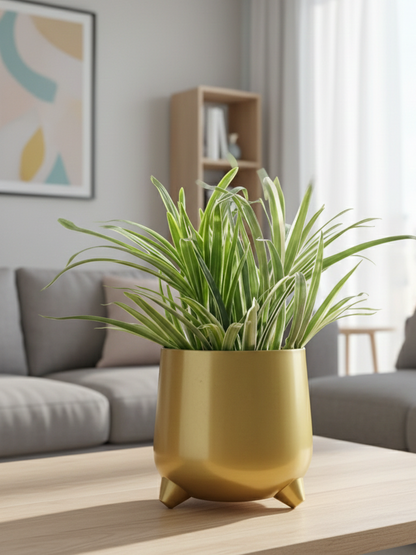 Gold pot with green plant on a wooden table in a living room setting