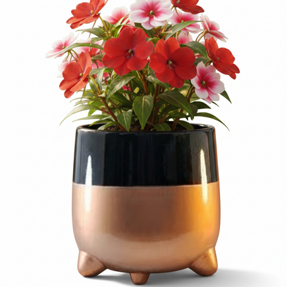 Rounded Metal Planter