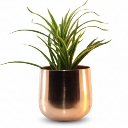 Rounded Metal Planter