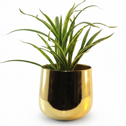 Rounded Metal Planter