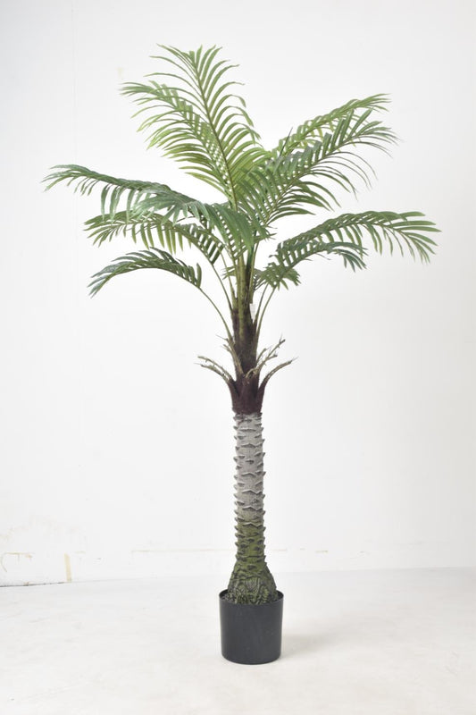 Palm Tree Faux Plant 59″ – Lush Paradise for Home & Office