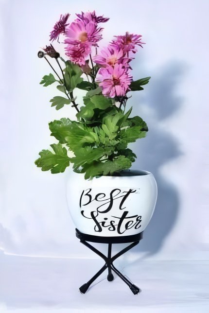 Metal Printed Planter with Stand