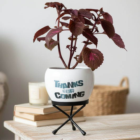 Metal Printed Planter with Stand