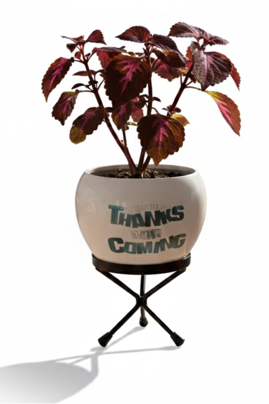 Potted plant with decorative pot on a stand against a white background