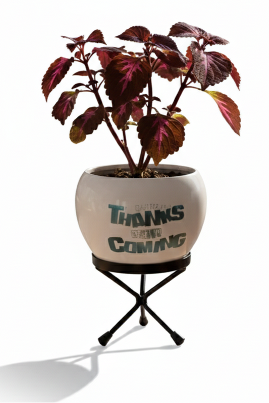 Potted plant with decorative pot on a stand against a white background