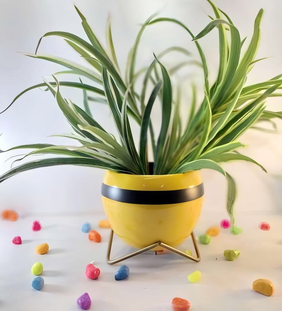 Round Yellow Gloss Metal Planter with Golden Tripod Stand