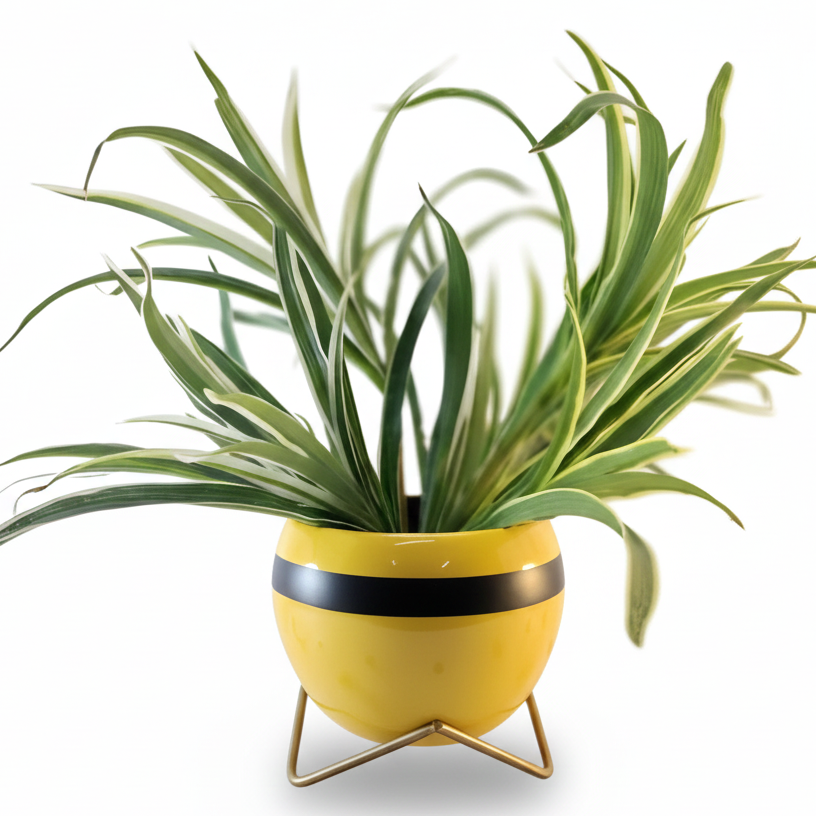 Yellow planter with a plant on a white background