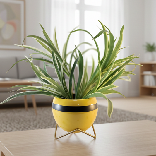 Potted plant in a yellow pot on a table with a blurred indoor background
