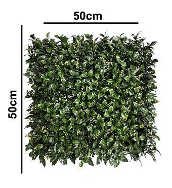 Gardenia & Buxus Vertical Garden 50cmx50cm