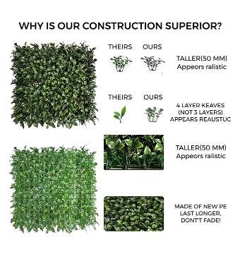 Gardenia & Buxus Vertical Garden 50cmx50cm