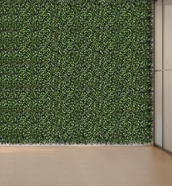 Gardenia & Buxus Vertical Garden 50cmx50cm