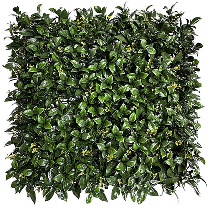 Gardenia & Buxus Vertical Garden 50cmx50cm