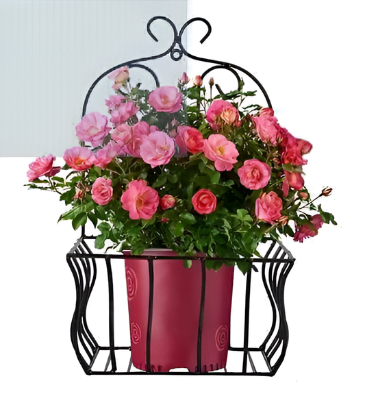 Wall Hanging Plant Basket – Vintage Frame Design